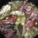 Cooksnap dari Rita Afriyanti untuk resep Steam Kakap Merah