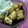 Cooksnap dari Niken Indriati untuk resep tahu telur bumbu kecap rempah ala yumh ku