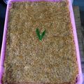 Cooksnap dari aminipriyono@gmail.com untuk resep Wajik ketan gula merah
