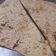 Meena rathi का कुकस्नैप जब उन्होंने उड़द की दाल का पापड़ (urad ki dal ka papad recipe in Hindi) बनाया था।