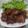 Cooksnap dari Soesie Ariwati untuk resep Baikut Goreng/Fried Ribs