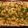 petecarrier's cooksnap of when they made Shepards pie.