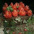صورة من شهد رحمة من كوكباد 🇩🇿، شاركها بعد تجربة وصفة كيكة الغابة السوداء - Cake Forêt noire