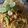 Cooksnap dari Chanchal Kaur untuk resep Mie Tek Tek