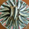 Cooksnap από Σουλα στη συνταγή Μυρωδάτος γαύρος στον φούρνο
