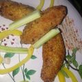 Bharti Vania's cooksnap of when they made Kibbeh Lebanese Cusine.
