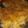 El cooksnap de Rocio Pizarro Rodriguez cuando hizo Canelones rellenos de pollo con bechamel.