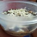 Cooksnap dari Assan Gates untuk resep Dessert Box Oreo Simple