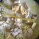 Cooksnap dari misse untuk resep Kare Ayam & Tahu