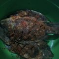 Cooksnap dari Zulie Mamak'e Robin untuk resep Gurame bakar simpel