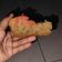 Cooksnap dari Puji Rahayu untuk resep Bolpis panggang 4 telur oven tangkring