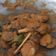 Cooksnap dari Dini Harsely untuk resep Rendang Jengkol