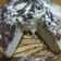 El cooksnap de Melina Vilches cuando hizo Torta de 1 huevo.