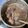 Cooksnap de Raquel quando cozinhou Feijoada Brasileira.