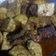 Cooksnap dari amandania🌻 untuk resep Bali daging telor tahu tempe