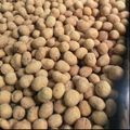 Hanel ateh Mbuya's cooksnap of when they made Peanut burger.