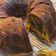Cooksnap dari Marta Halim untuk resep Marble cake full kuning telur n wisman \ bolu macan premium