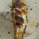 Cooksnap dari tyarecipes untuk resep Ikan Bakar Teflon