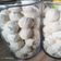 Cooksnap dari Yundya Ullan Cemerlang untuk resep Putri salju Dancow