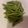 QBee Sindy Chien 的 薑末紅蘿蔔四季豆 cooksnap