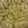 Cooksnap dari Akari Papa untuk resep Chicken Gyoza
