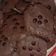 Cooksnap dari Novita Kartika Sari untuk resep Cookies coklat chocochips / GoodTime KW. Ga pake mixser