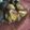 El cooksnap de cecilia arregui cuando hizo Berlinesas rellenas🧉.