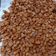 Cooksnap dari Swasty untuk resep Kacang Bawang Renyah Dan Gurih