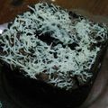Cooksnap dari Nji's Kitchen untuk resep Brownis kukus simple