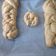 Cooksnap από Νικόλ_ στη συνταγή Πλέκω τσουρέκι σε κοτσίδα