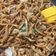 Cooksnap dari anne goretti untuk resep Mie Goreng Jawa