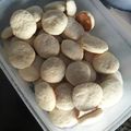 El cooksnap de Camila Macías cuando hizo Cookies de limón.