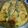 Cooksnap dari Nelly jovana untuk resep Ikan Kembung Santan Kuning