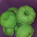 Cooksnap dari Yoka untuk resep PUTU AYU ekonomis lembut menul