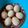 🌈NinjaMommaKitchen🌈's cooksnap of when they made Japanese boiled egg recipe.