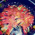 کوک اسنپ Mahoor👩‍🍳🍽 بعد از امتحان کردن راتاتویی😊😊😊😊😊.