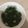Cooksnap dari Dopi MilaSari untuk resep Sayur Bayam Bening (tanpa kunci)