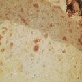 El cooksnap de Gisela Perez cuando hizo Sopa paraguaya (1° vez y EXQUISITA).