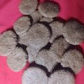 El cooksnap de Patricia Sreidin cuando hizo Galletitas de avena y miel hiper saludables!.