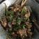 Cooksnap dari WY untuk resep Ayam rica rica