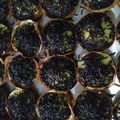 Cooksnap dari sandyawati untuk resep Martabak manis mini