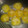 El cooksnap de paola garcia cuando hizo Pan saborizado de cebolla y ajo.