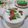 Cooksnap dari Devi Rupani untuk resep Selendang Mayang