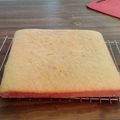 El cooksnap de Camy Fuster cuando hizo Torta de naranja en licuadora.