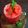 Ajita Srivastava का कुकस्नैप जब उन्होंने वॉटरमेलोन कूलर (watermelon cooler recipe in Hindi) बनाया था।