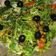 صورة من زوجي سر سعادتي 😍ام عمر، شاركها بعد تجربة وصفة سلطة. جرجير 🥗