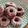 Cooksnap Sesimple Loralin semasa beliau membuat Donut red velvet.
