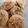 Cooksnap dari Jensen untuk resep Garlic Cheese Cookies