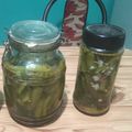 El cooksnap de ema aviles cuando hizo Pencas de acelga al escabeche.