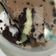 Cooksnap dari fitrihdyani untuk resep Oreo chocolate cheesecake